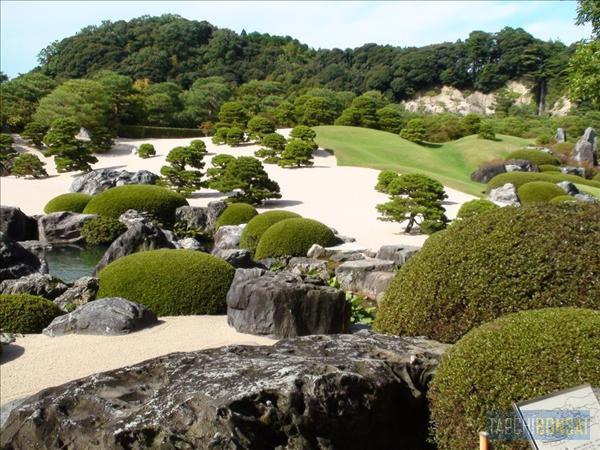 Bonsai, cay canh nghe thuat, cây cảnh nghệ thuật, cay the, cây thế, triển lãm bonsai, trien lam bonsai, triển lãm cây thế, trien lam cay the